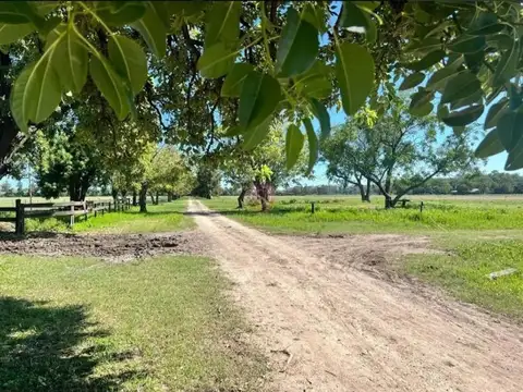 Ruta 28