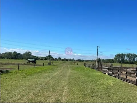 Campo en Venta de 34  ha