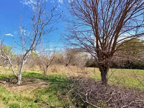 Venta Lote Tunuyán