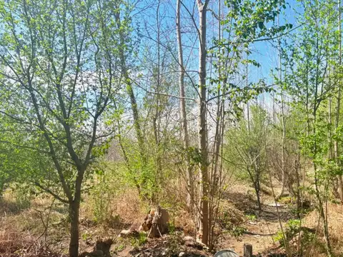 Terreno en Venta de 2000,0 m2