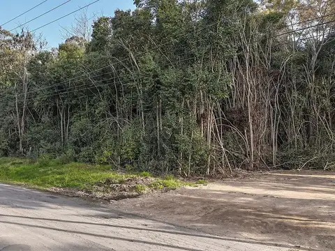 Terreno en Venta en Monteverde, Los Cardales