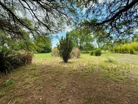 VENTA CASA CON PILETA 1 HA COLONIA CAROYA