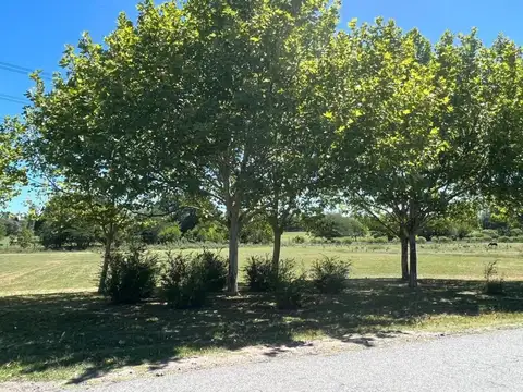 Terreno en Venta en Altos De Manzanares, USD 55.000