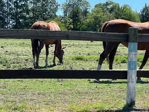 Hermoso Lote En Venta Altos De Manzanares, Pilar