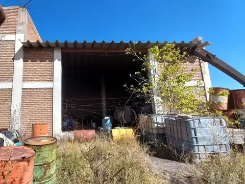 VENTA 7 HECTAREAS 7 GALPONES PAREDITAS SAN CARLOS
