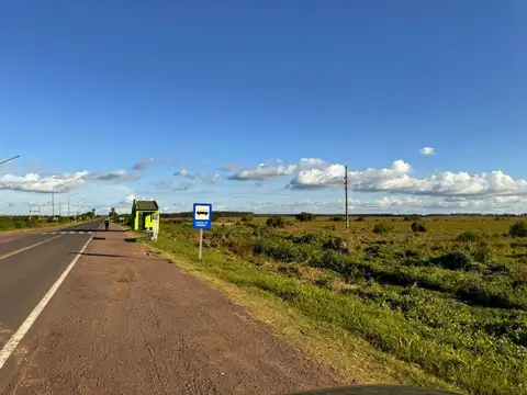 Campo en  SALADAS, CORRIENTES 409 Ha. mixto. SOBRE RUTA 118 - Venta