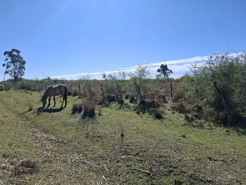 Campo en  SALADAS, CORRIENTES 409 Ha. mixto. SOBRE RUTA 118 - Venta