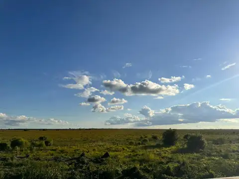 Campo en  SALADAS, CORRIENTES 409 Ha. mixto. SOBRE RUTA 118 - Venta