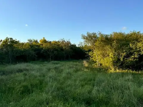 RUTA PROV 118, CORRIENTES