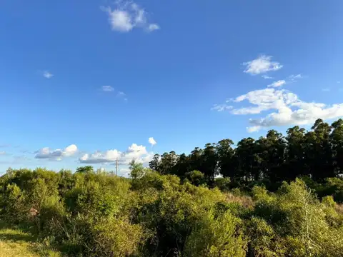 Campo en  SALADAS, CORRIENTES 409 Ha. mixto. SOBRE RUTA 118 - Venta