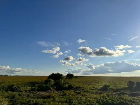 RUTA PROV 118, CORRIENTES