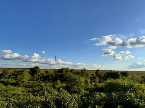 Campo en  SALADAS, CORRIENTES 409 Ha. mixto. SOBRE RUTA 118 - Venta