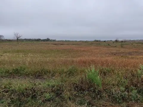 VENTA DE 16HA DE CAMPO EN IBARLUCEA