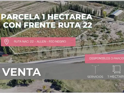 VENTA - PARCELA 1 HECTAREA FRENTE RUTA 22 - ALLEN 