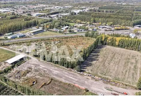 Ruta 22