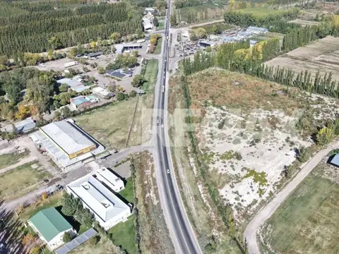 Ruta 22