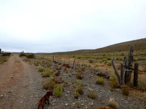 Campo 165000 has. apto ganadería con infraestructura y costa sobre Río Chubut