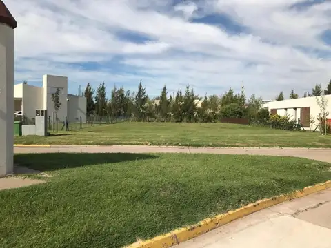 Terreno en Venta 20  mts Frente