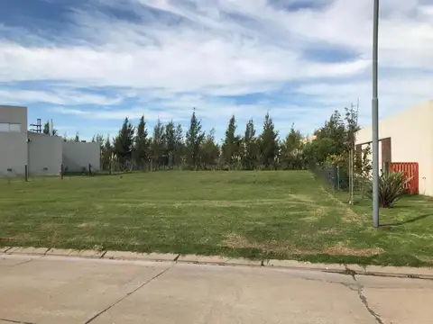 Terreno en Venta 40  mts Fondo