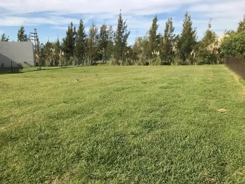 Terreno en Venta de 800,0 m2