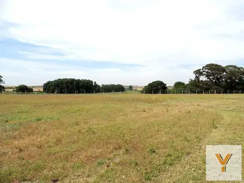 Terreno en Venta en Sierra de la Ventana, USD 21.000
