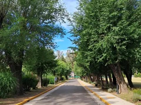 Terreno en Venta 20  mts Frente