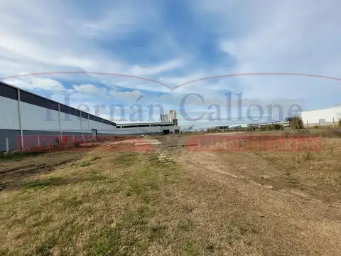 Terreno en Alquiler de 5000,0 m2