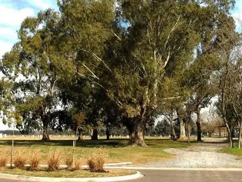 Terreno en Venta en San Felipe, USD 59.999