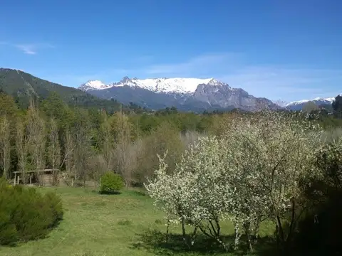 Ñandu al 2200