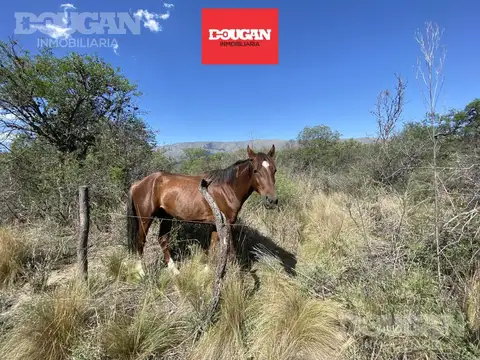 Terreno en venta - piedra blanca