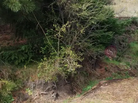 Terreno en Venta en San Martín de los Andes, USD 200.000