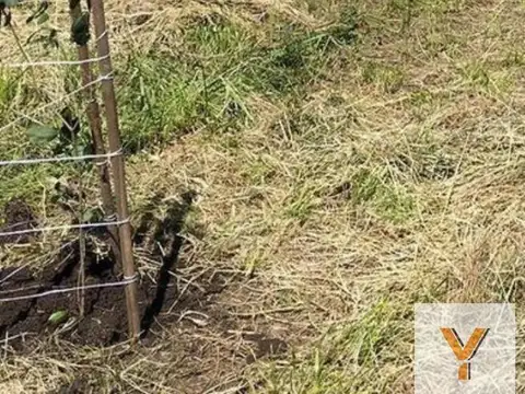 Comarca del Sol