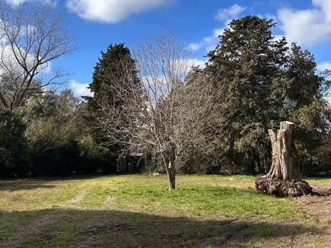 Santiago De Liniers 2764