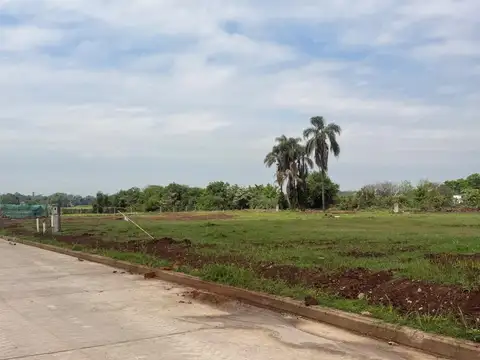 Ayres De Yerba Buena 900