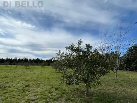 Terreno en  Chacras del Parana