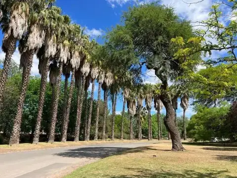 Terreno en Venta de 1250,0 m2