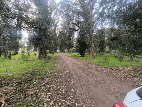Venta Lote 300mts2 Calle 64 y 161 Necochea
