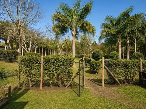 Departamento en Alquiler de 3 ambientes