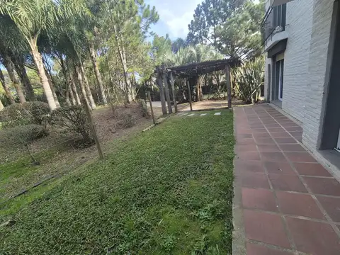gonchi rodriguez 100