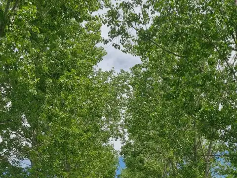 Venta terreno al golf en Everlinks Lujan