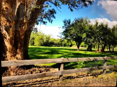 Chacras del Parana barranca 1