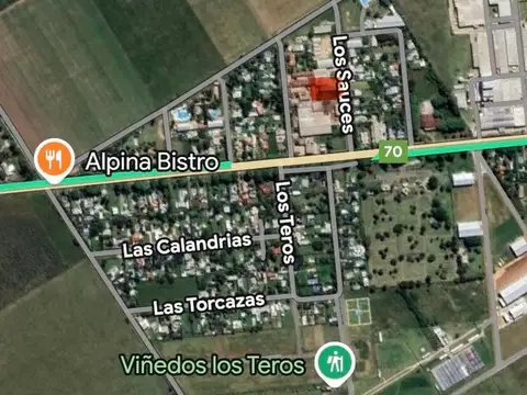 Los Sauces 100
