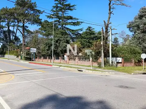 Casa acogedora muy iluminada en Cantegril