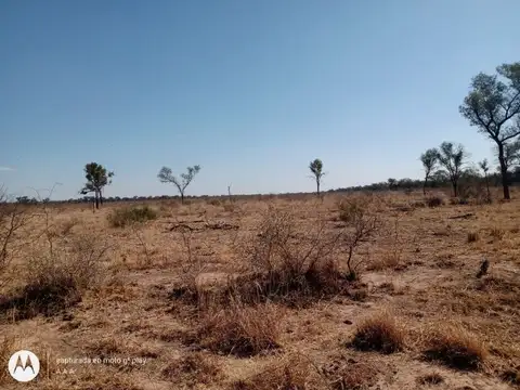 Campo agrícola 11518has, venta. Campo Gallo. Santiago del Estero