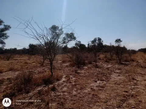 Campo en Venta en Santiago del Estero, Capital