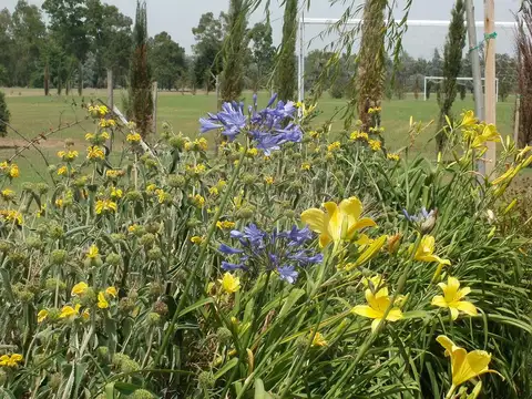 Terreno en Venta de 800,0 m2
