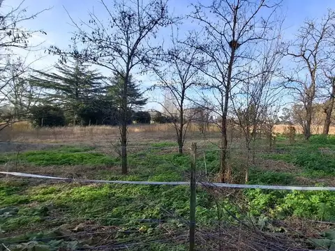 Terreno en Venta en 9 de Julio, USD 60.000