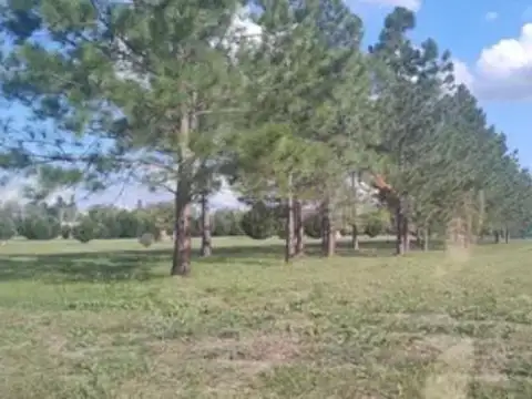 Lote En Venta El Cardal