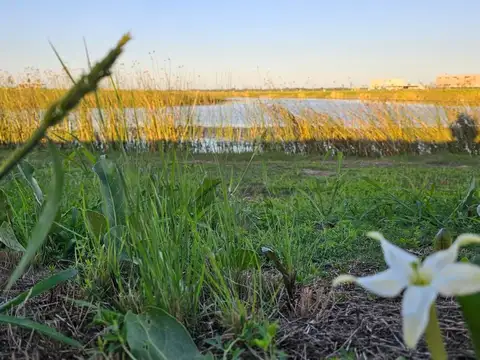 Terreno en Venta en Belen De Escobar, USD 195.000