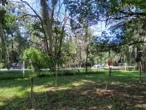 Terreno en Venta 15  mts Frente